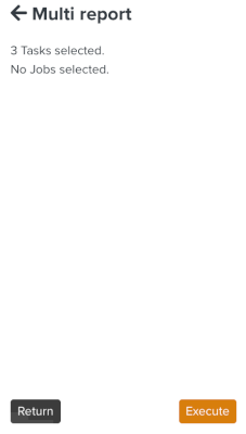 Multi_Report_Execute.png