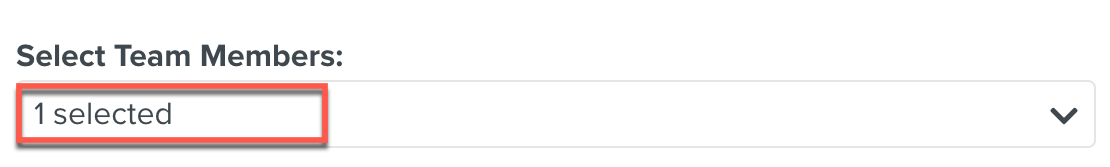 Selected_team_members.png