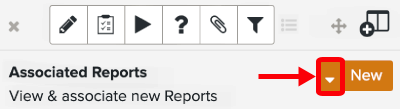 Associated_Reports_Click_Dropdown.png